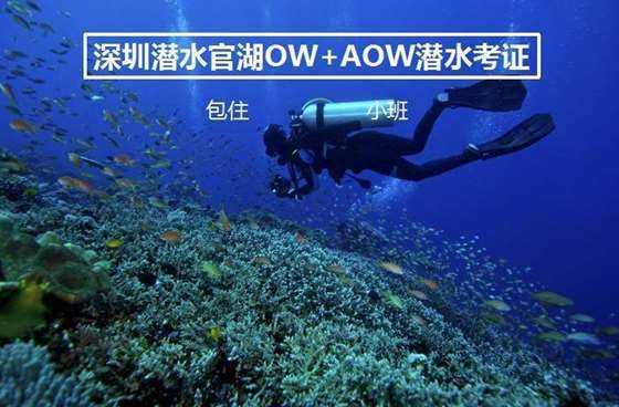 燃烧吧大脑免广告最新版