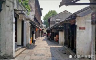 网站首页什么是有机肥料,市场上有什么牌子比较好